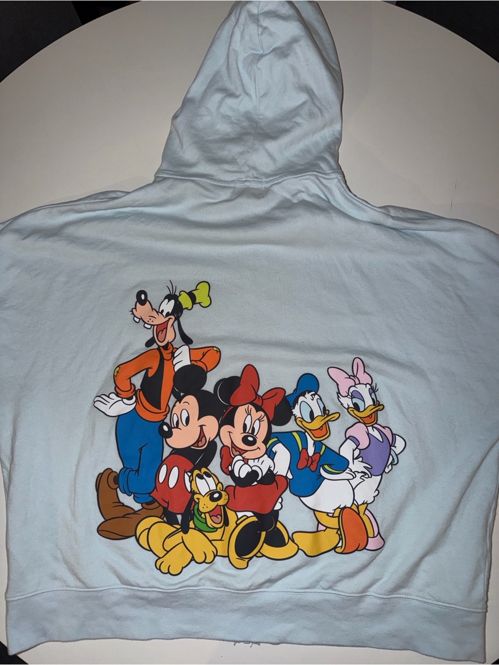 Walt Disney World Light Blue Mickey & Friends  Mouse Zip Hoodie